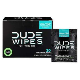 DUDE Wipes Flushable Wipes, XL On-The-Go Wet Wipes, Mint Chill, 30 Count